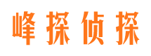 西区市侦探